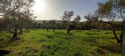 IMG20240330171445
