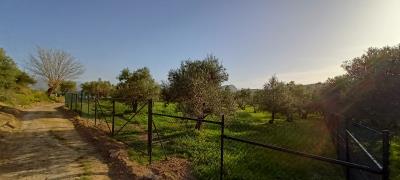 IMG20240330171612
