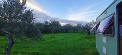 IMG20250123165210