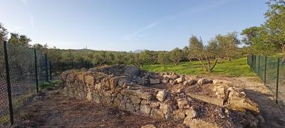 WINE-PRESS
