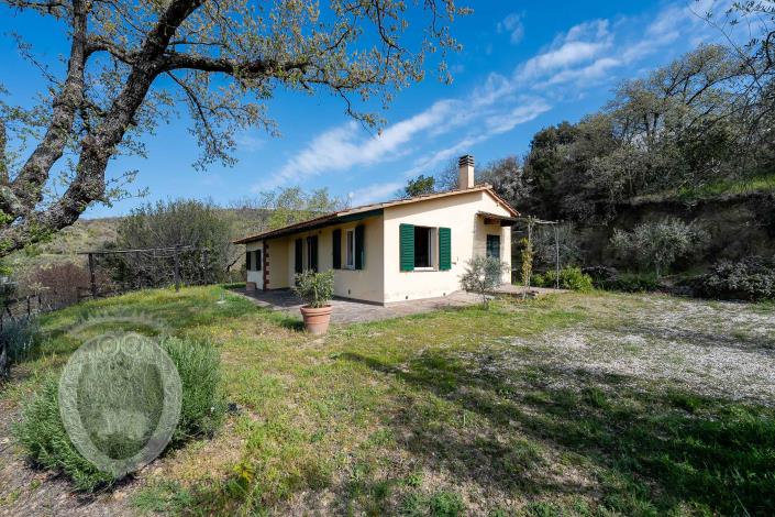 Image No.11-Ferme de 1 chambre à vendre à Cortona