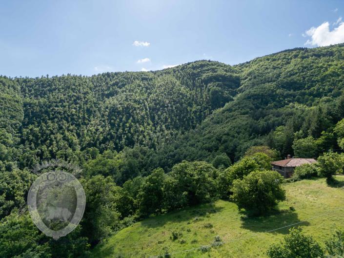 Image No.7-4 Bed Farmhouse for sale