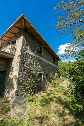 Image No.16-4 Bed Farmhouse for sale