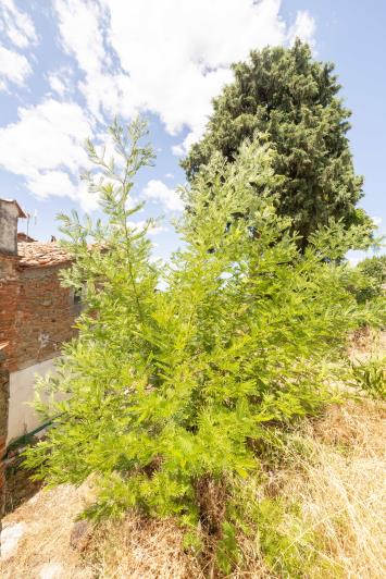 Image No.45-8 Bed Townhouse for sale