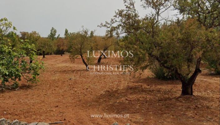 Image No.6-Land for sale