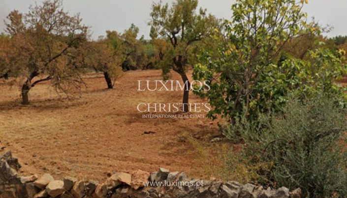 Image No.10-Land for sale