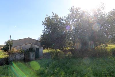 008__lato_15_jpg