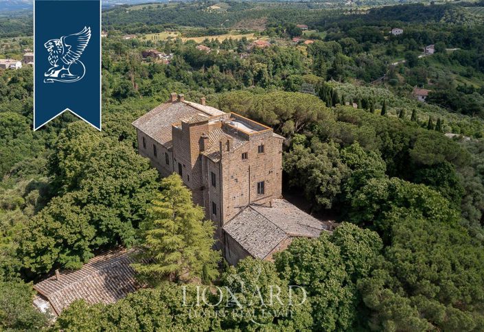 Image No.5-21 Bed Villa for sale