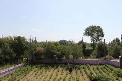img0025-scaled