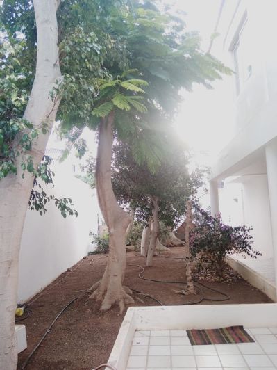 Image No.36-8 Bed Villa for sale
