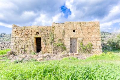 IMK-24022026-1182-31775_HDR-1200