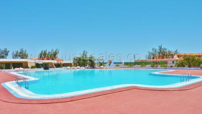 Bouganville