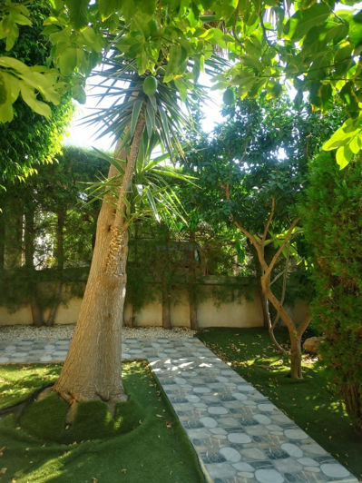 Image No.11-6 Bed House for sale