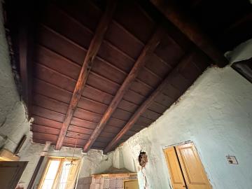 IMG_4892