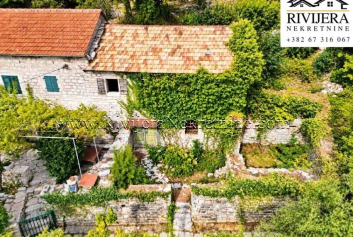 Image No.3-House for sale