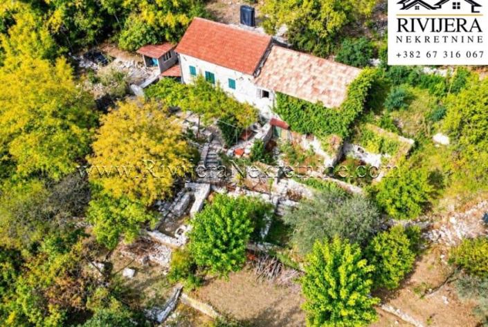 Image No.5-House for sale