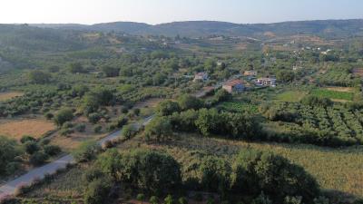 DJI_0448