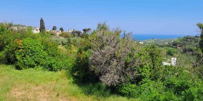 The-view1