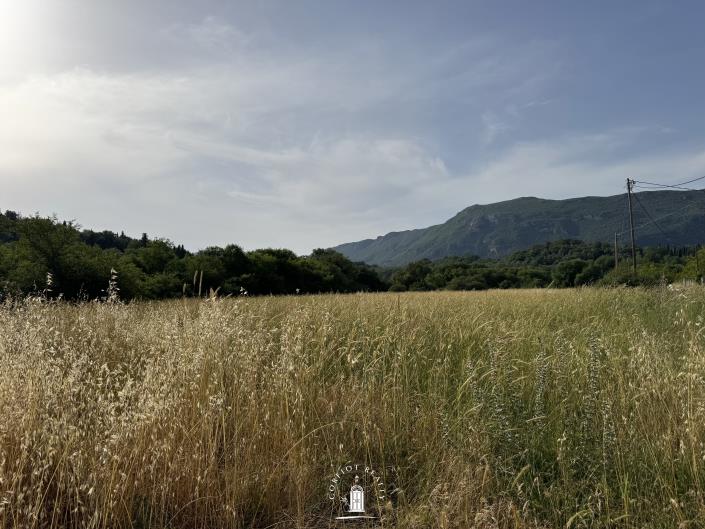 Image No.5-Land for sale
