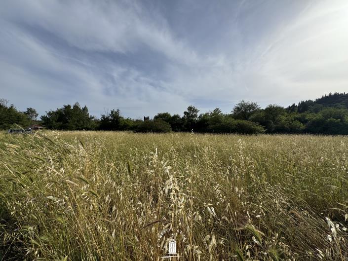 Image No.9-Land for sale
