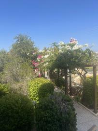 Tala-House-8