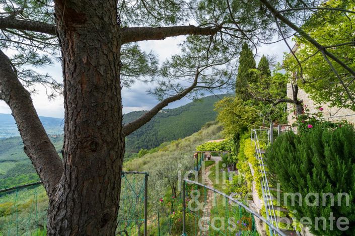 Image No.8-Maison de campagne de 3 chambres à vendre à Spoleto