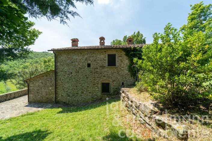 Image No.46-9 Bed Country House for sale