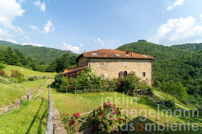 Image No.2-Ferme de 10 chambres à vendre à Stia