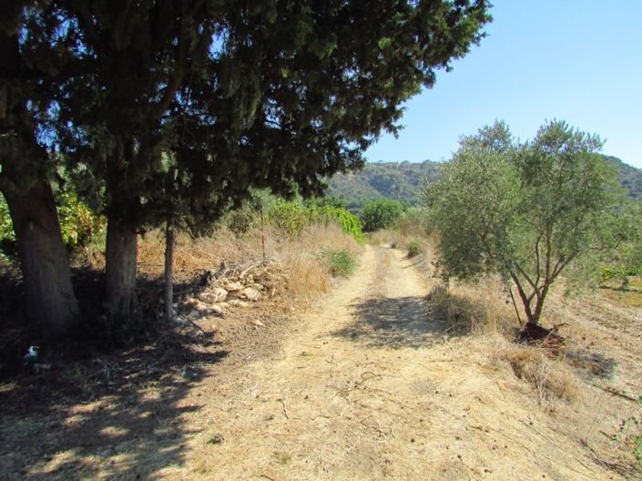 Image No.6-Property for sale