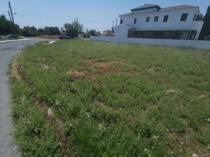 Image No.3-Propriété à vendre à Dromolaxia