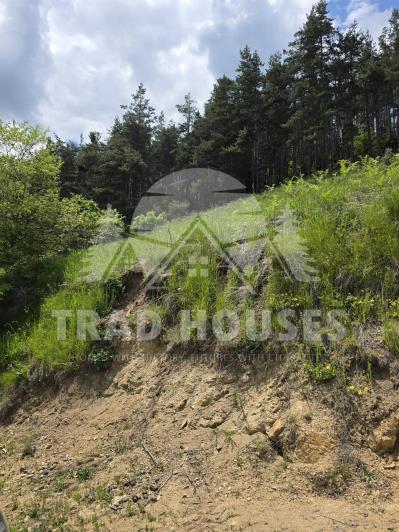 Image No.16-3 Bed Village House for sale