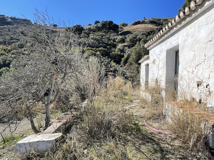 Image No.15-Propriété de 1 chambre à vendre à Frigiliana