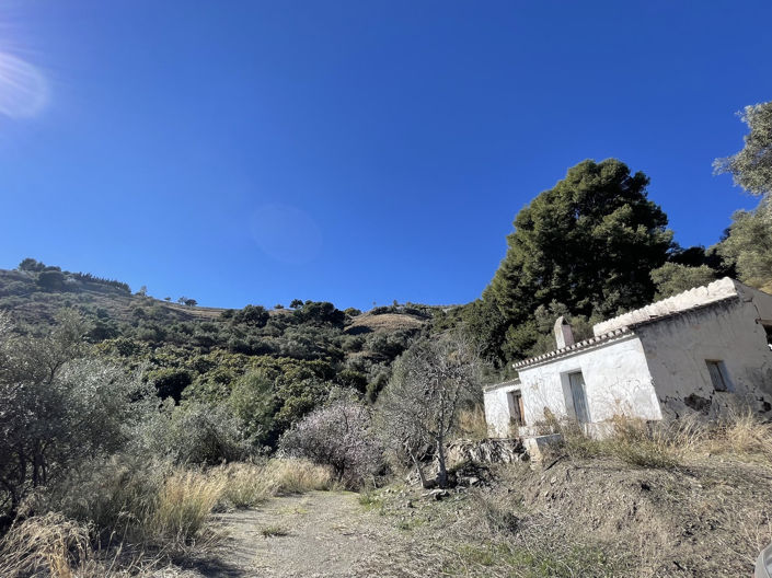 Image No.4-Propriété de 1 chambre à vendre à Frigiliana