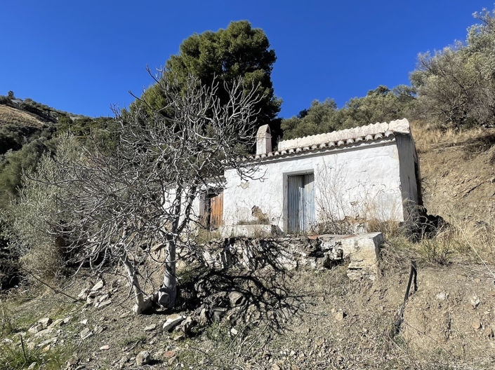 Image No.8-Propriété de 1 chambre à vendre à Frigiliana
