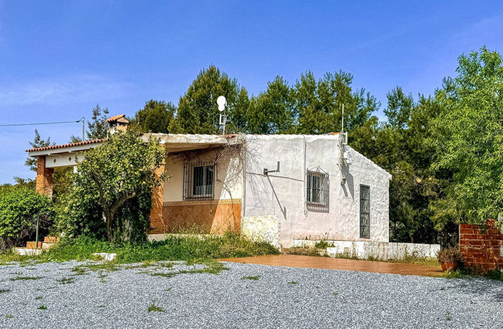 Image No.4-Propriété de 3 chambres à vendre à Arenas
