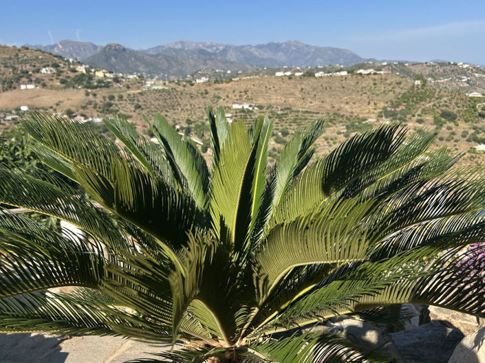 Image No.3-Propriété de 3 chambres à vendre à Torrox