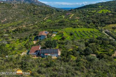 DJI_20260327104014_0016_D