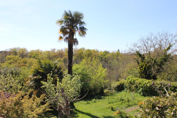 Image No.9-3 Bed House for sale