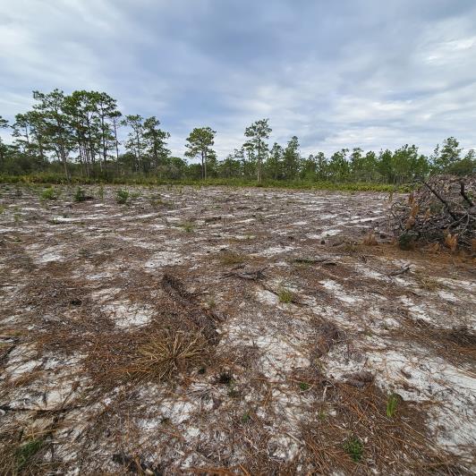 Image No.7-Land for sale