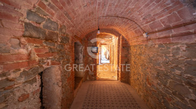 Photo_5