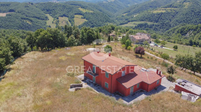 Photo_9