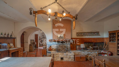 Photo_2