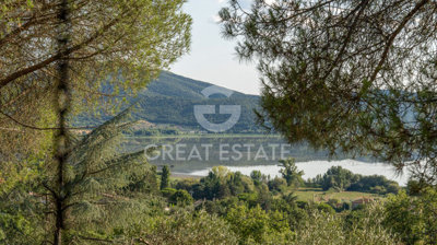 Photo_3