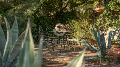 Photo_9