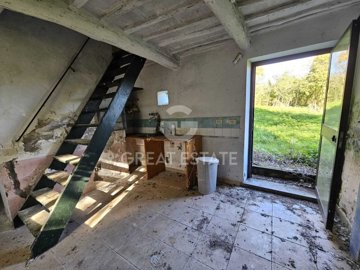 Photo_2