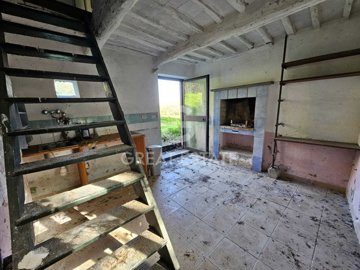 Photo_5