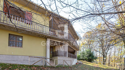 Photo_7