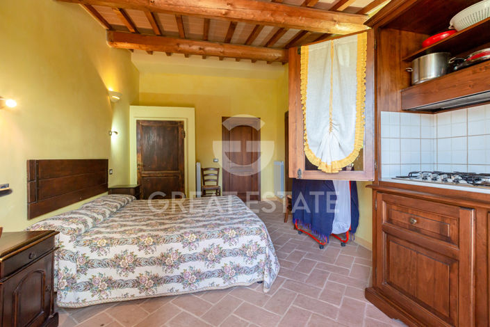 Image No.28-24 Bed Country House for sale