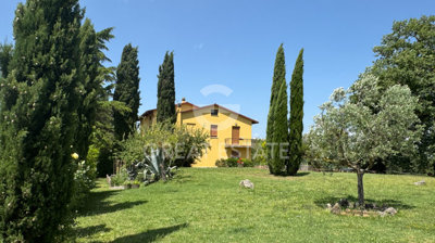 Photo_4