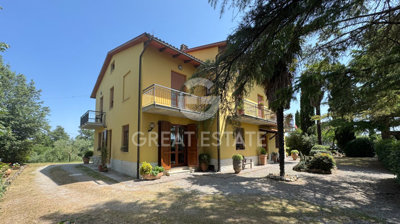 Photo_3